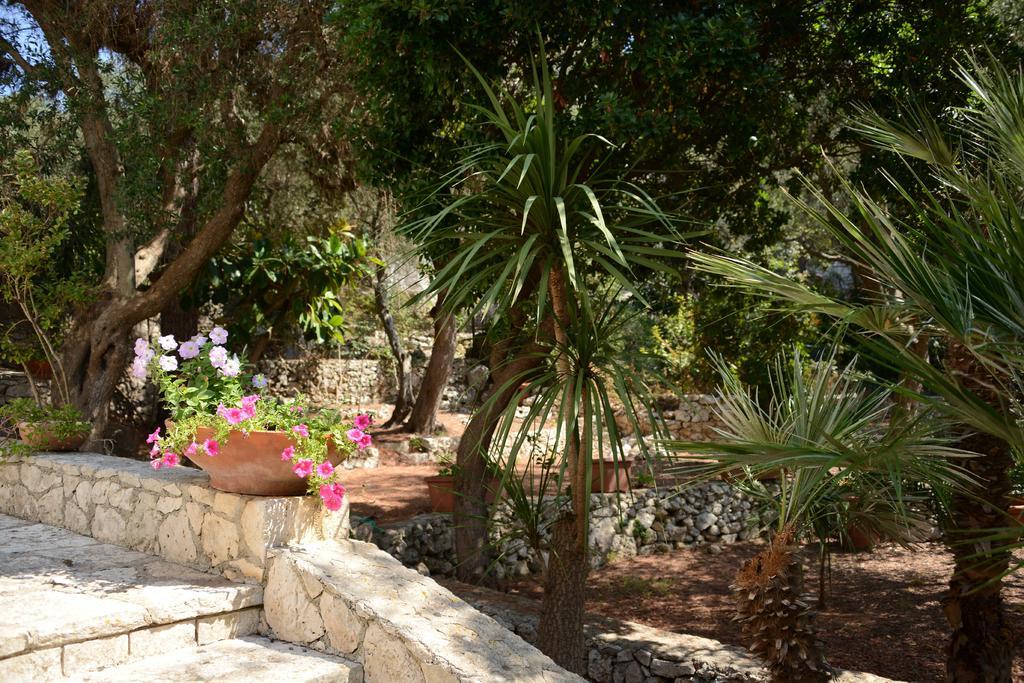 Villa L'Antico Ulivo Santa Cesarea Terme Exterior foto